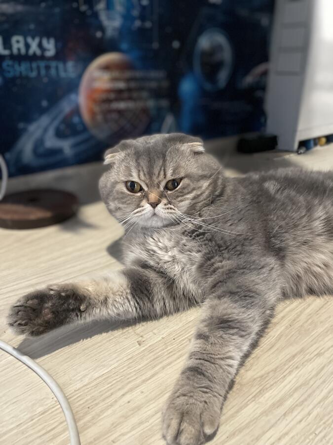 Когда бахнул пелменией