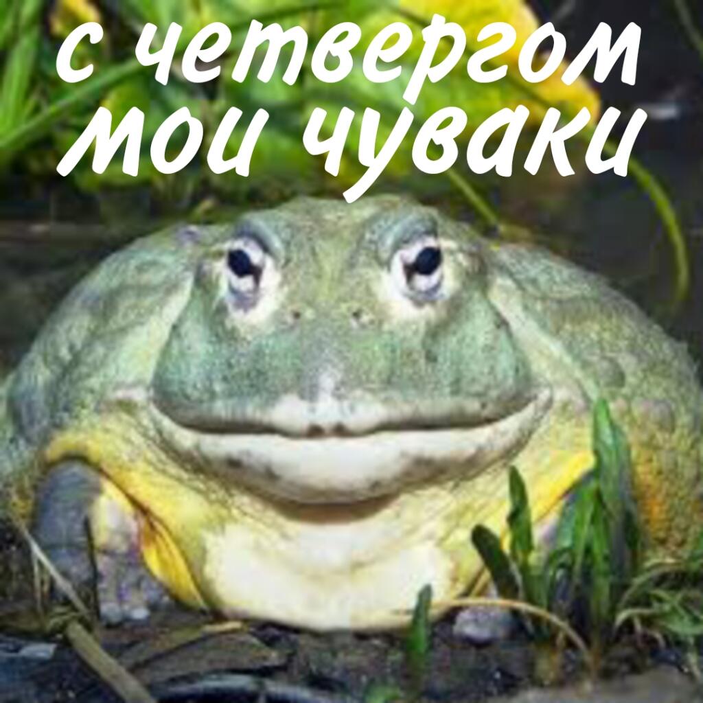 С четвергом мои чуваки