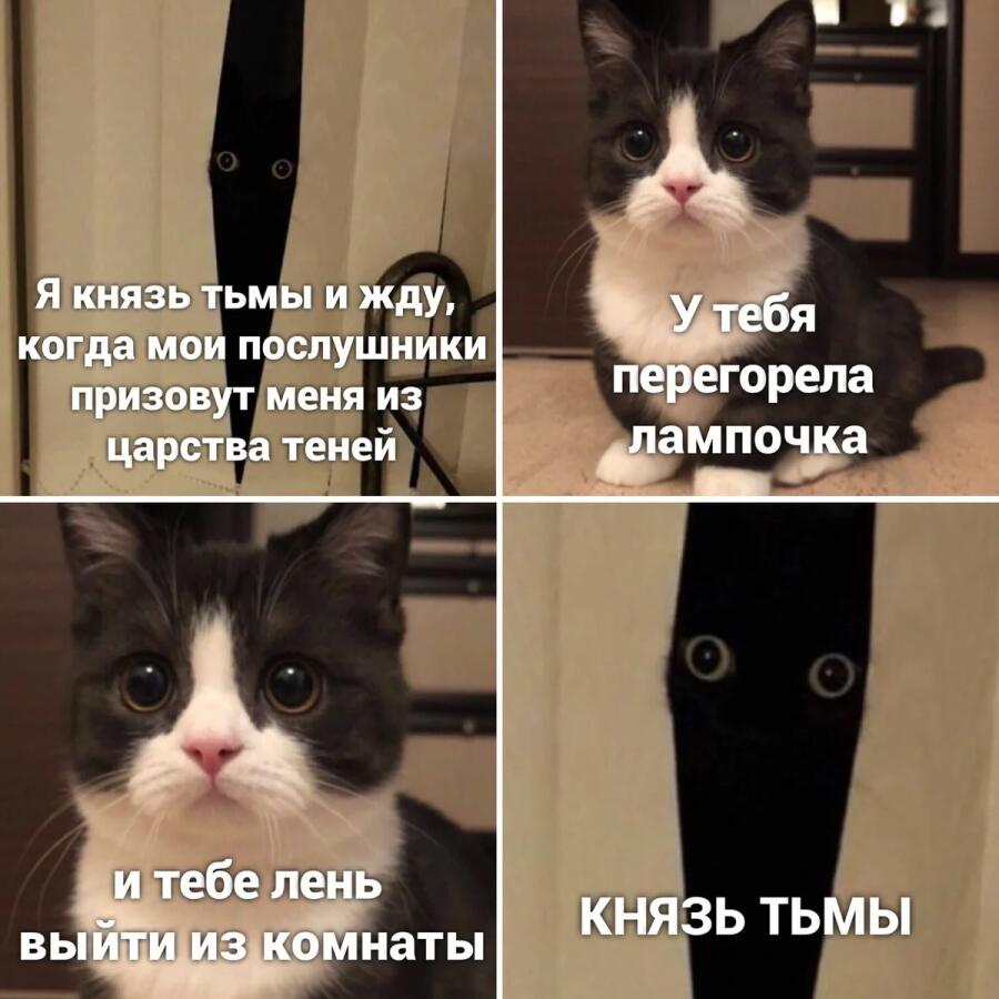 Мем от Какой-то чел