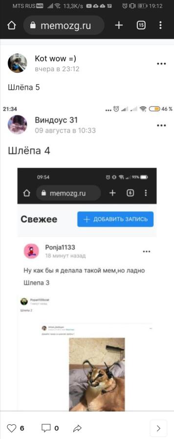 Шлепа 6