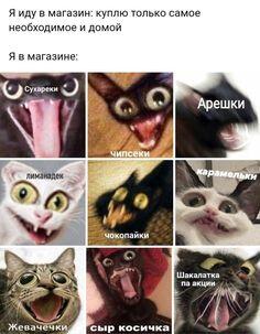Мем от memozma