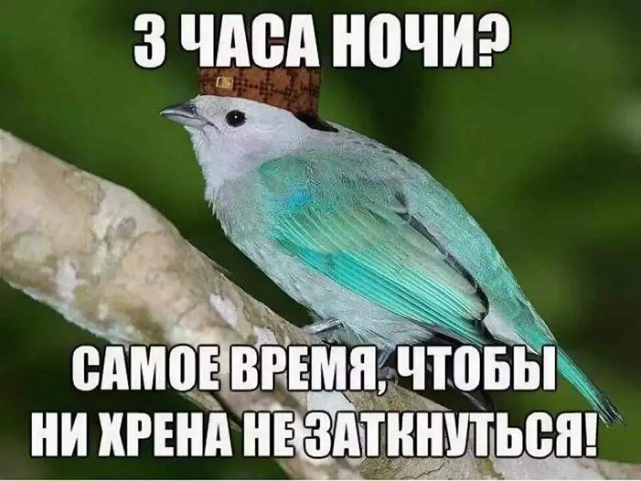 Мем от Ржать тут
