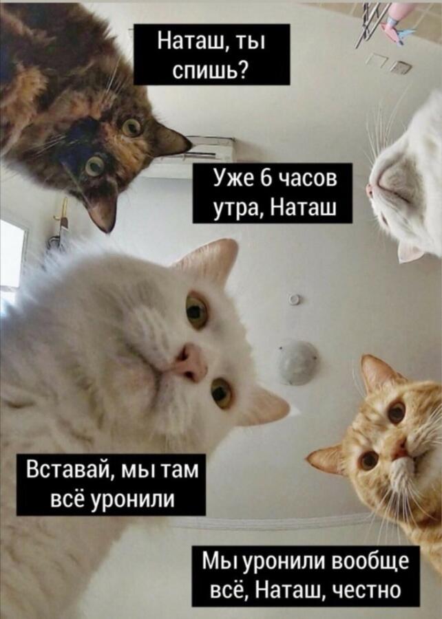 Мем от Mr.Meme