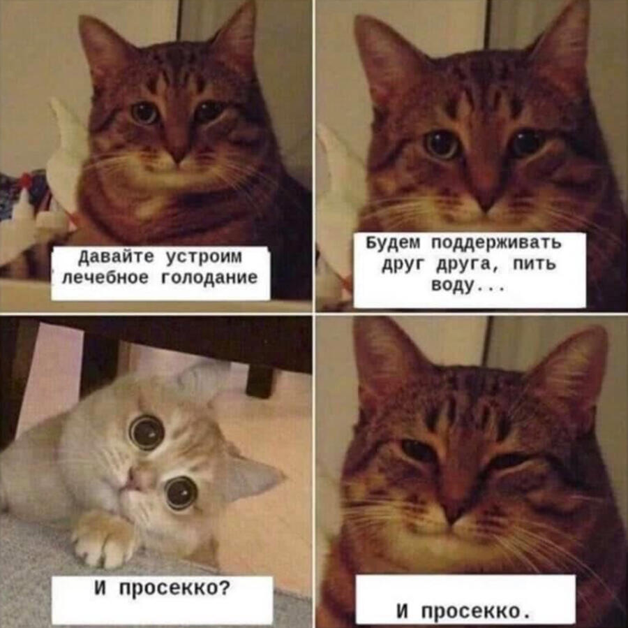 Мем от pon