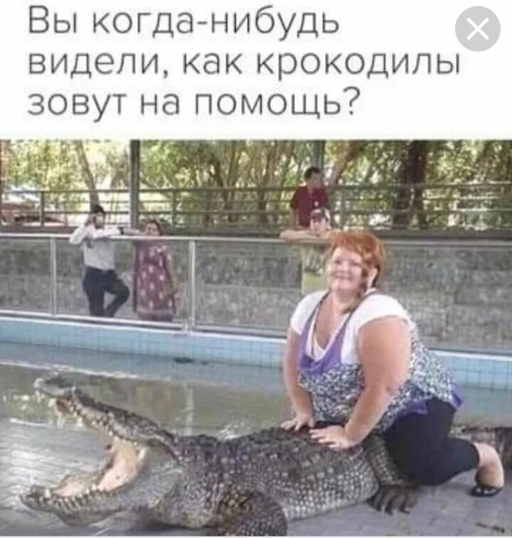 Крокодильчик