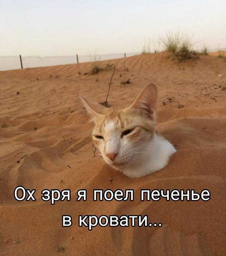 Ода, печеньки, а ой...