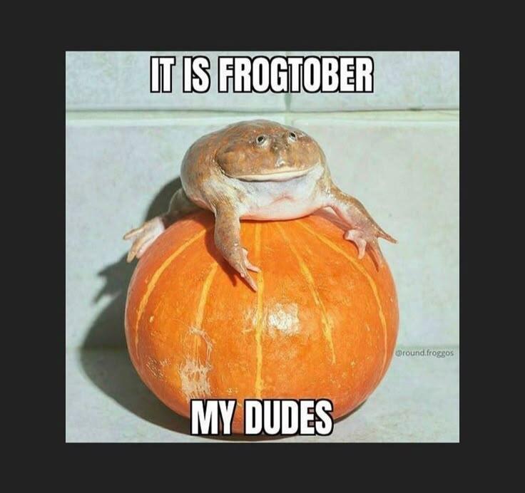🍁✨