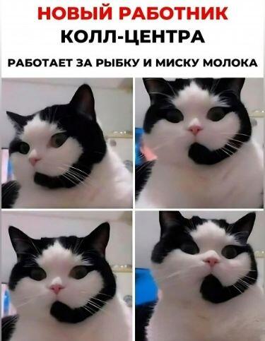 Мем без подписи