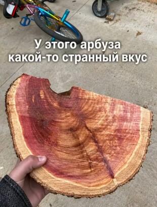 Рука держит кусок дерева, окрашенный в красный цвет под арбуз, надпись: у этого арбуза какой-то странный вкус