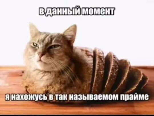 Закрепите мой пост в ленте по приколу, пжалуйста.