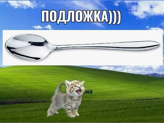 Скриншот с подписью «ПОДЛОЖКА)))», на котором изображена ложка и кричащий кот на фоне обоев Windows XP
