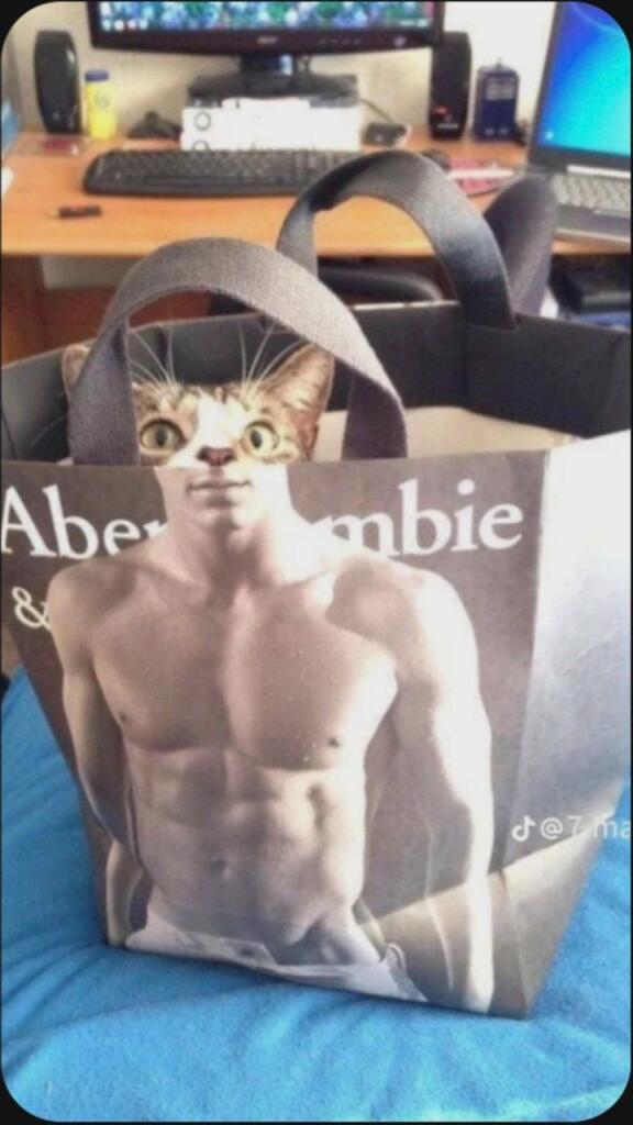 Жёстке котек вам в ленту