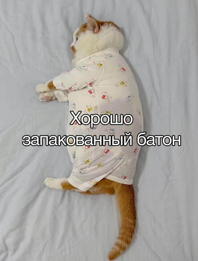 Чуваки, у меня есть не очень хорошие новости для вас. Вряд ли кто-то е...
