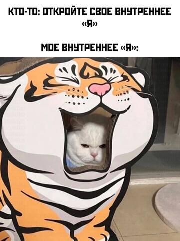 Мем от timacat2 в С.С.К.Р.