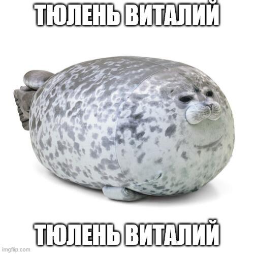 кхм кхм май диер фриендс! Виталик вас очень любит! Он желает вам много вкусняшек в этом году и побольше веселья (жгите м