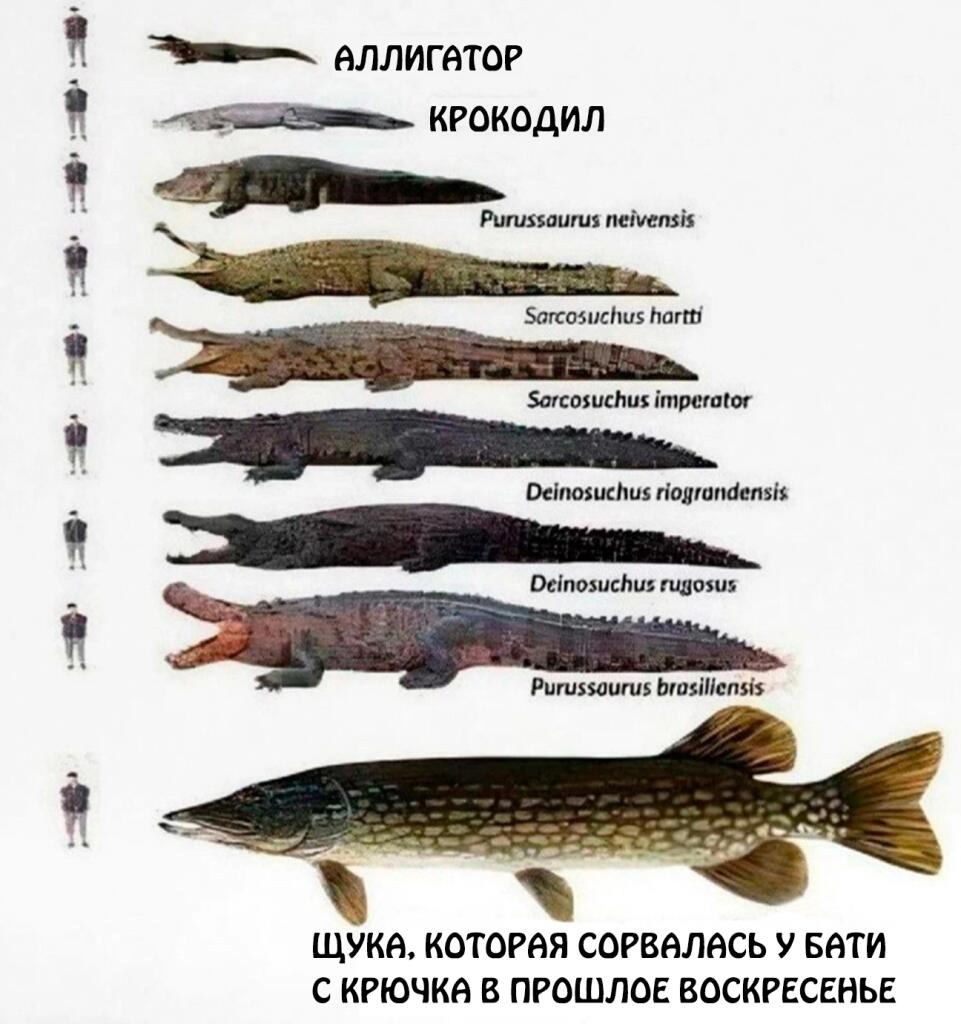 Мем от Roman2024