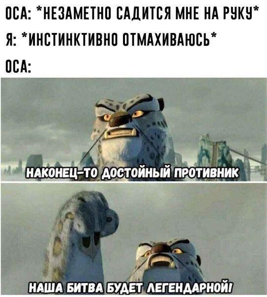 Мем от 🩶W1ndY[CHUP]🖤🍉