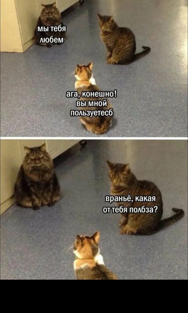 Мем от Усталый мыш