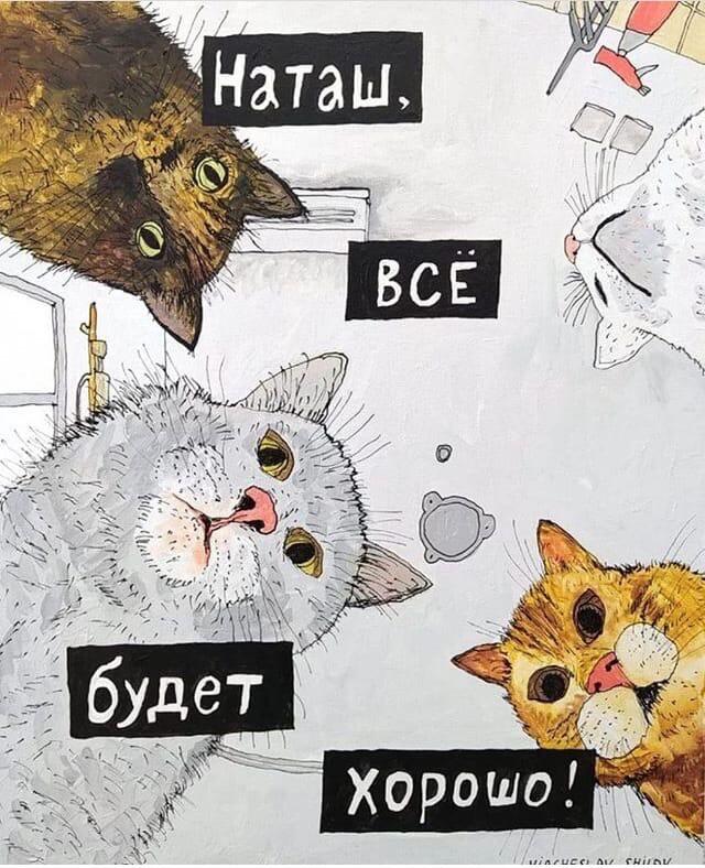 Наташа и её коты стали чумачечами