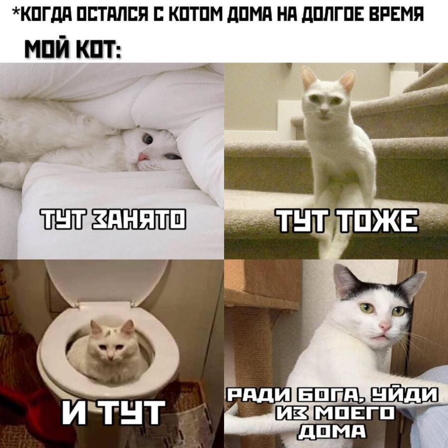 Мем от DELETED USER