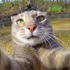 Когда захотел занятся первым видеом ВСЕМ ПРИВЕТ Я КОТИК:3