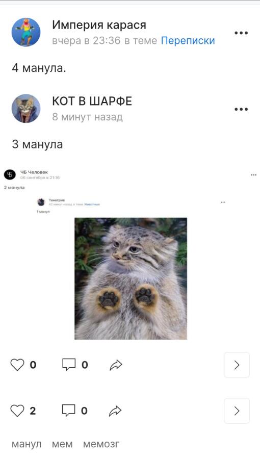 5 Манулов