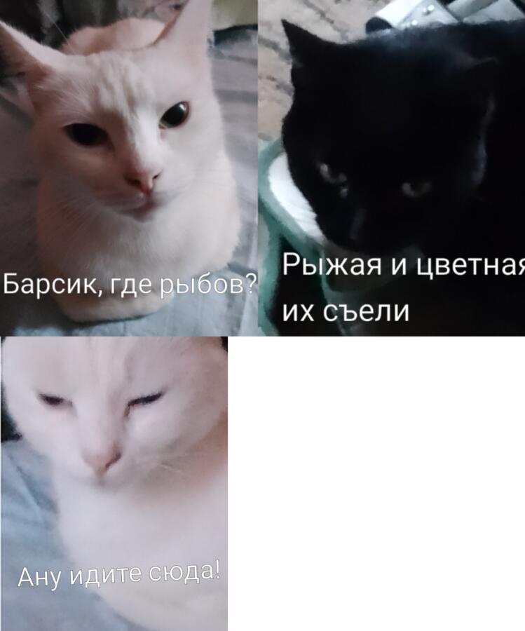 Мем от Noki
