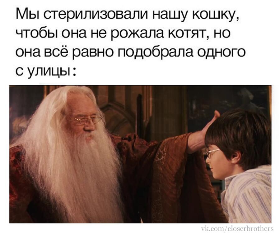 Мем от Drarryman