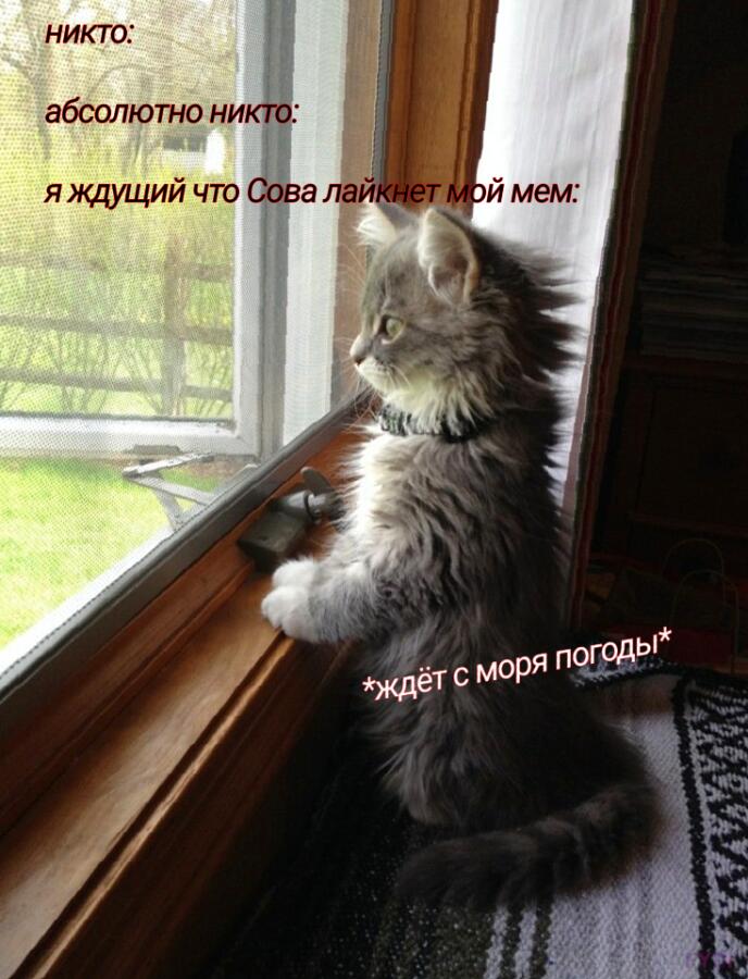 Ждемс qwq