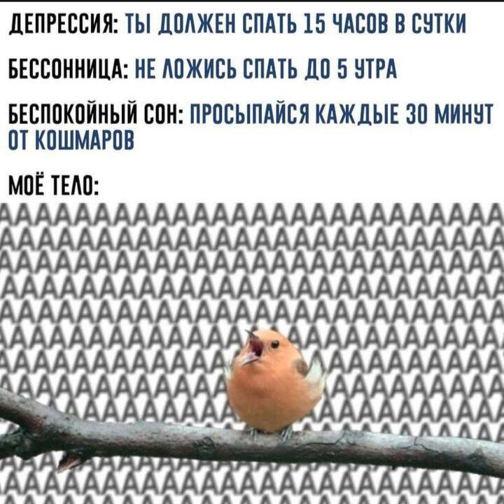 Я с домашкой:  ну да, ну да
