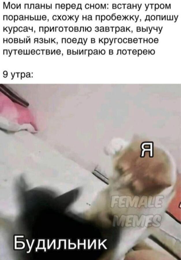 Мем без подписи