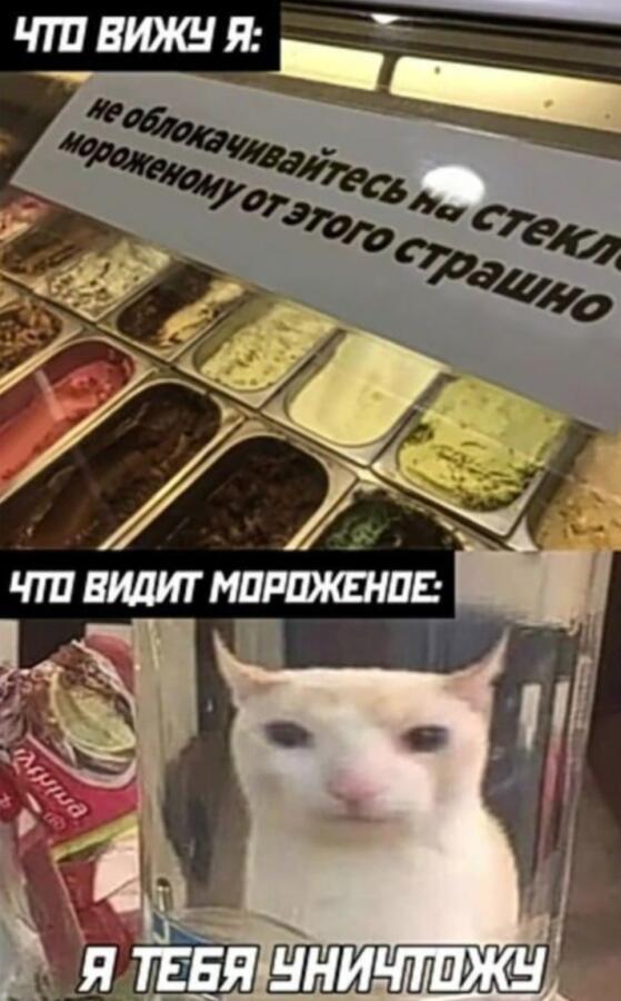 Мем без подписи
