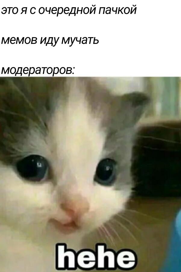 Мем без подписи