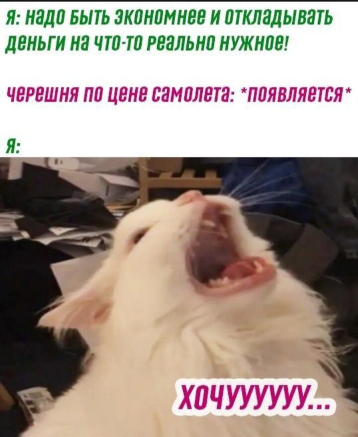 Мем от Ирико