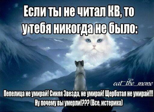 Коты воители :]
