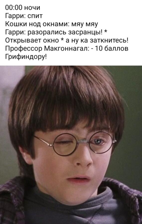 Мем по Гарри Поттеру
