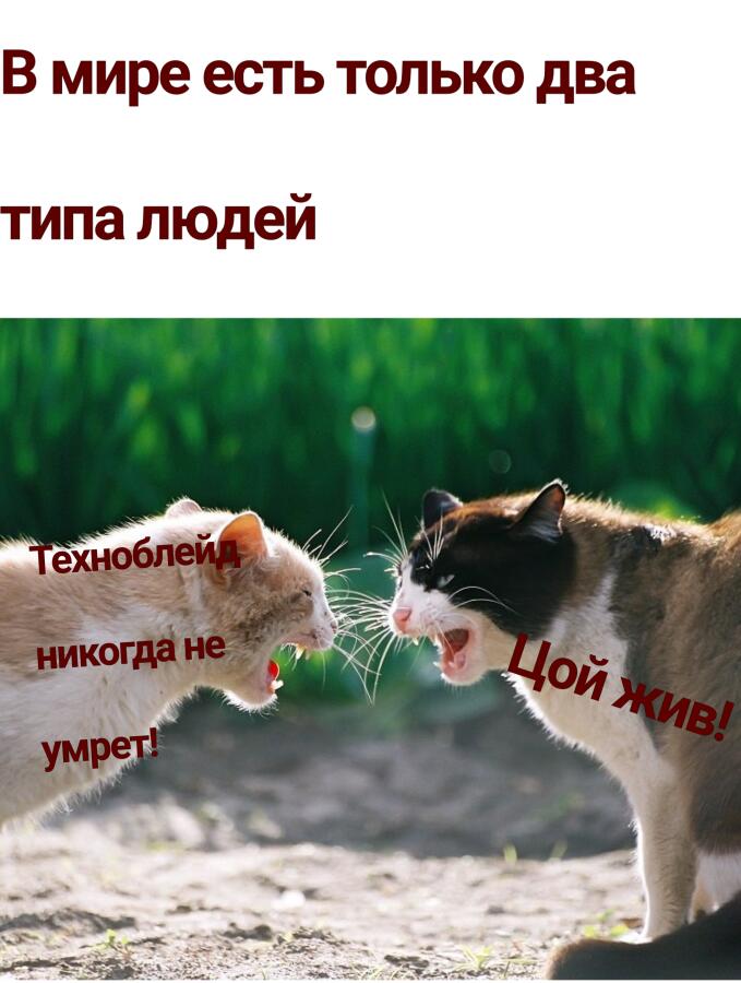 А какой тип ты?