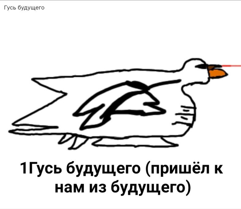6ая часть видов гусей  =3 :