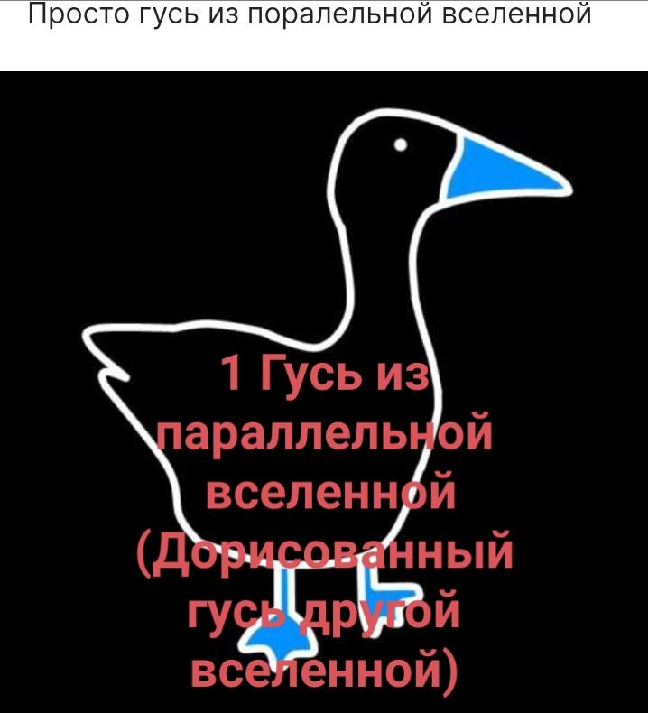 Виды кото... гусей. Часть 8 (вроде)