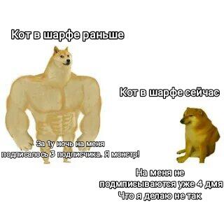 Жиза 😸😸😸