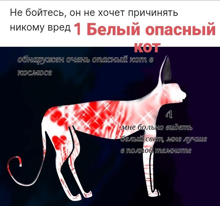 Виды котов , гусей и другой живности.