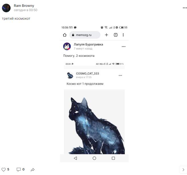 4ый Космо кот