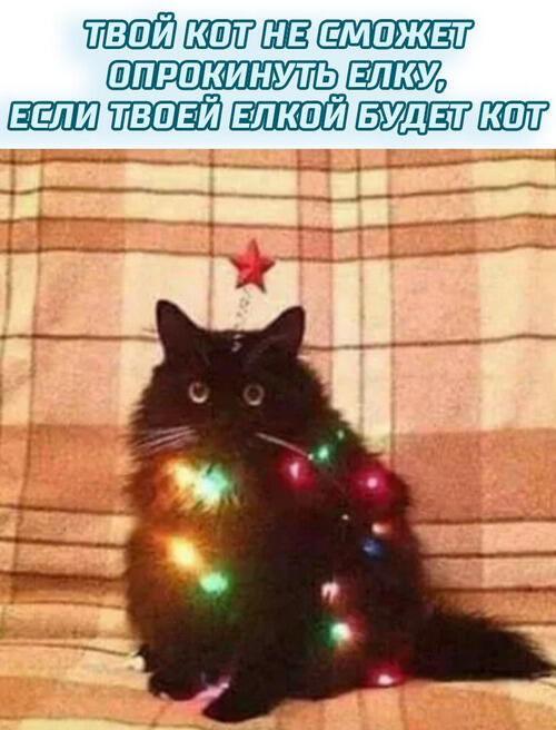 Этот мем очень похож на мою аватарку.