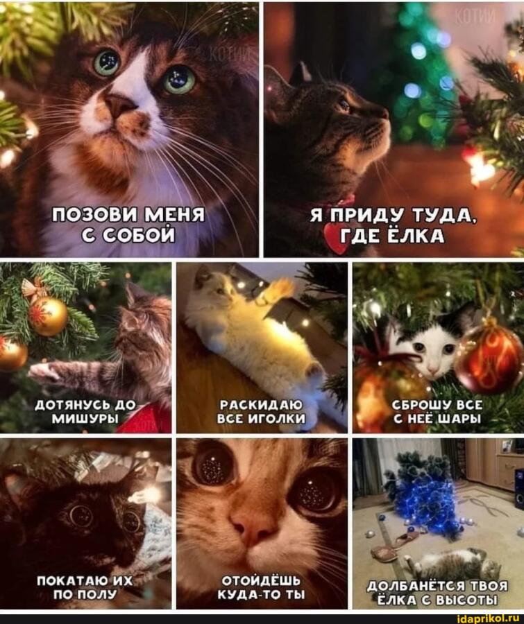 Подпевайте коту! Давайте все вместе!
Вот текст :
Позови меня...