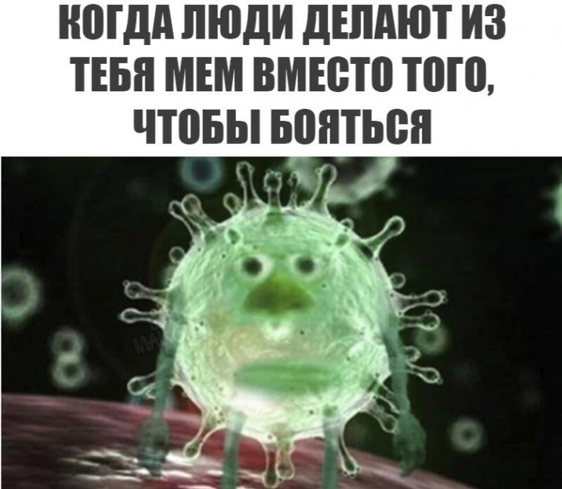 А помните карантин , когда мы дома сидели и все новости были только пр...