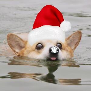 Lord of the corgi! Готово (ничего больше придумать не смог, если что п...
