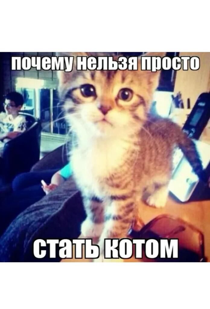 Почему?