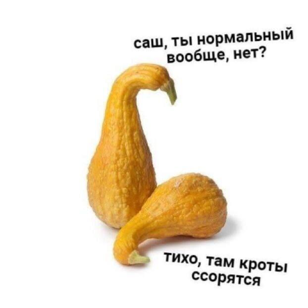 Мем от 🌸💥|цвяточный ад {ПЛМ}