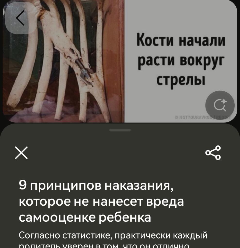 Мем от арбуз [ПЛМ]