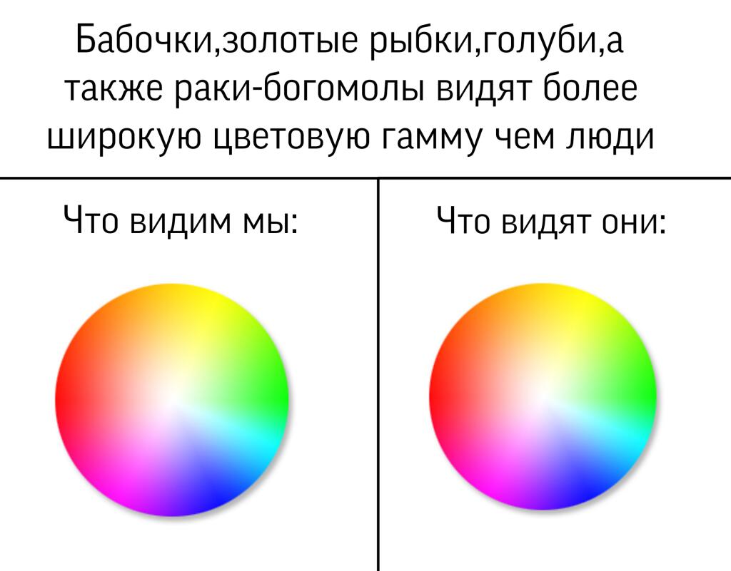 Мем без подписи